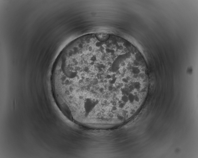 X0000102021091200808081742