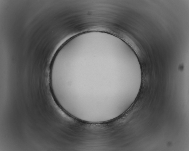 X0000102021092200808081742