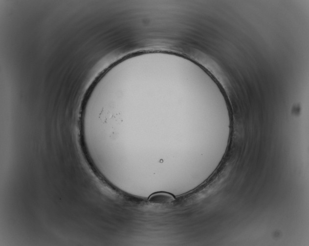 X0000102021093200808081742
