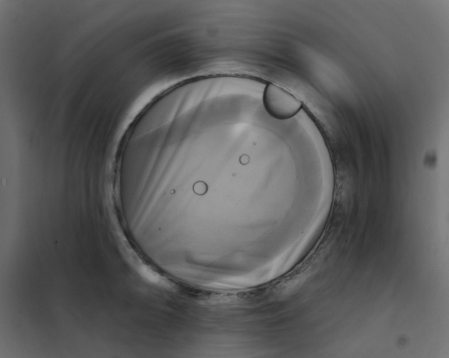 X0000102021094200808081742