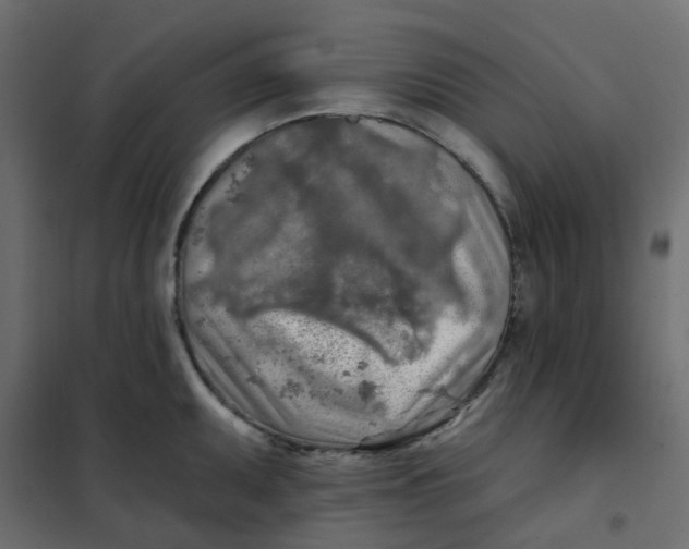X0000102021095200808081742