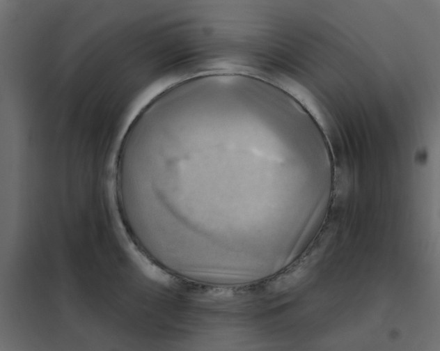 X0000102021098200808081742