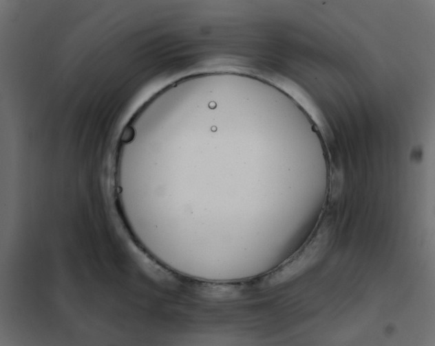 X0000102021101200808081742