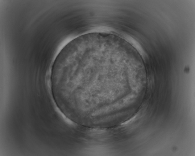 X0000102021103200808081742