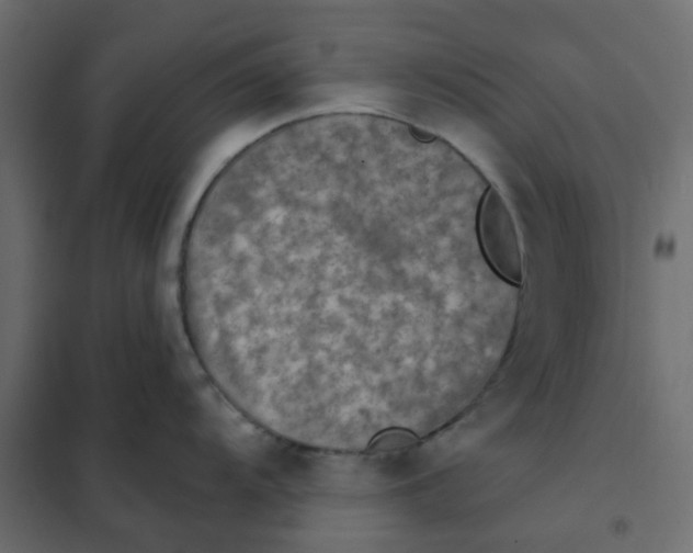 X0000102021104200808081742
