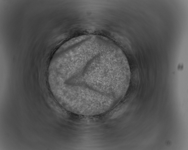 X0000102021105200808081741