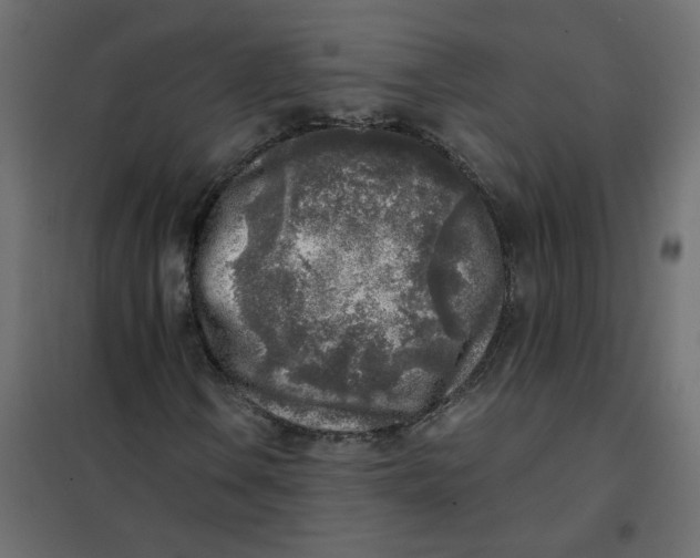 X0000102021106200808081741