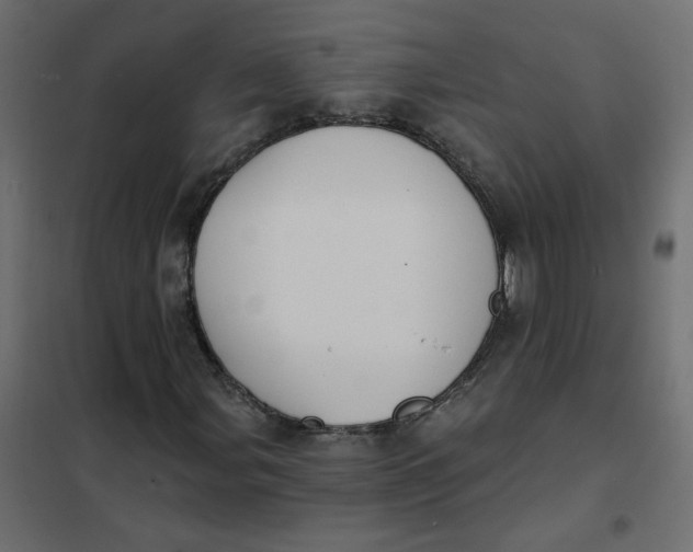 X0000102021107200808081741