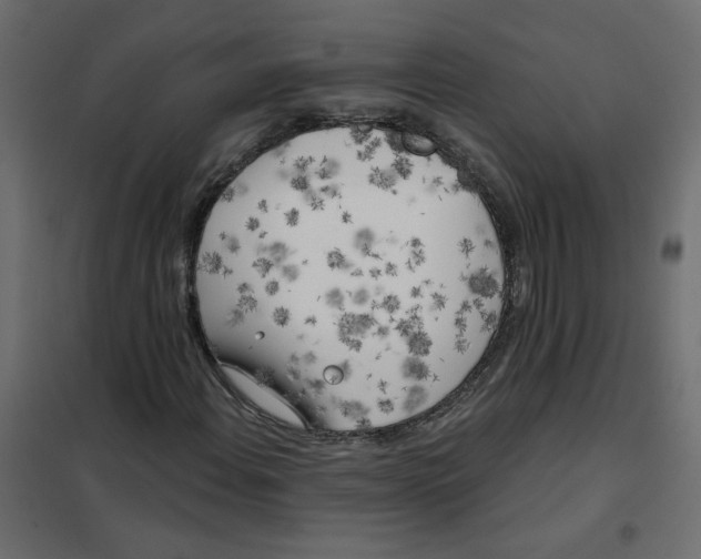 X0000102021108200808081741