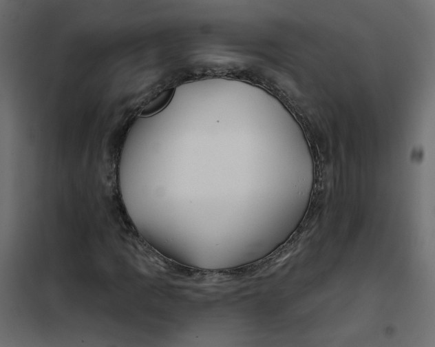 X0000102021109200808081742