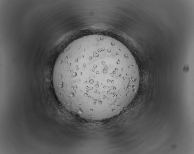 X0000102021110200808081742