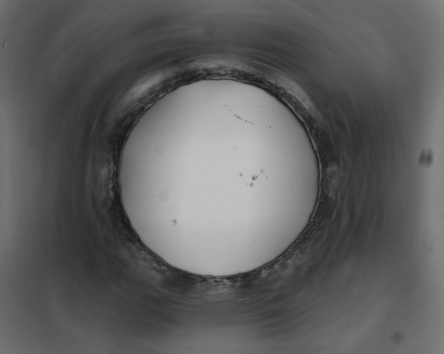 X0000102021111200808081742