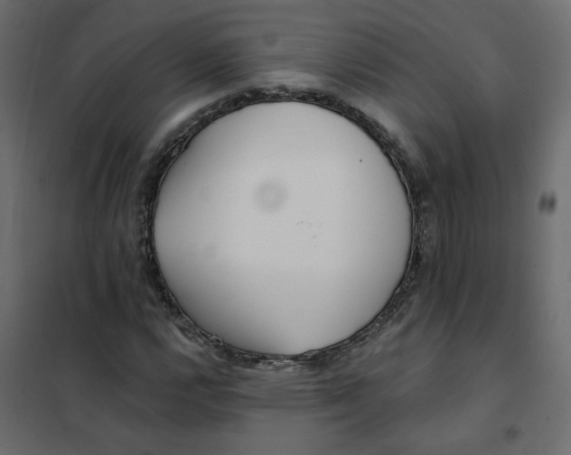 X0000102021112200808081742