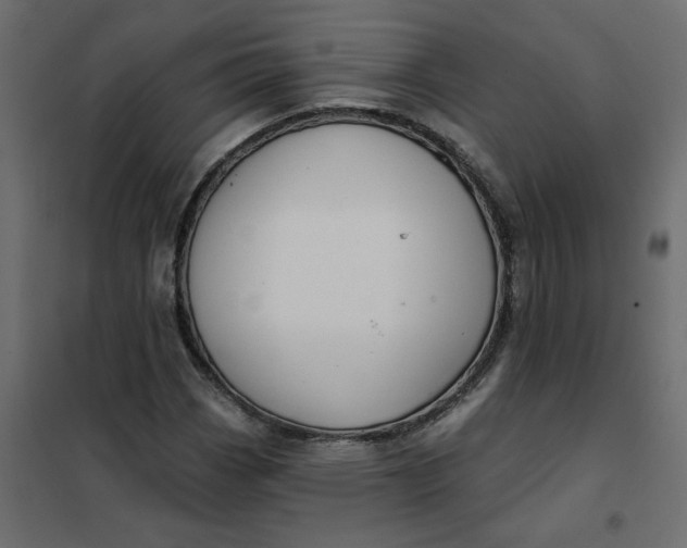 X0000102021113200808081742