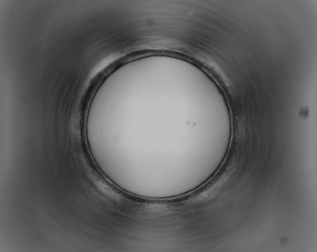 X0000102021114200808081742