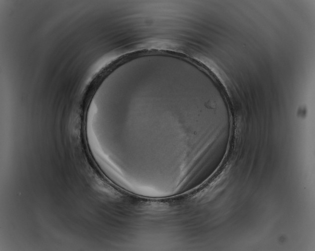 X0000102021115200808081742