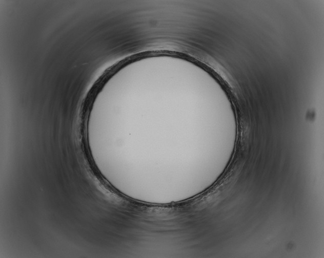X0000102021116200808081742