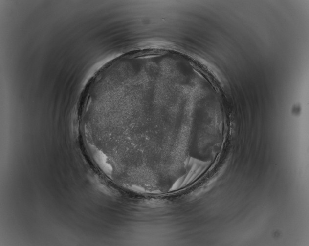 X0000102021117200808081742