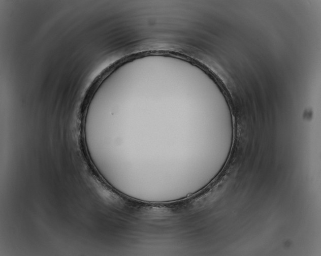 X0000102021119200808081742