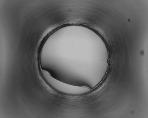 X0000102021122200808081742
