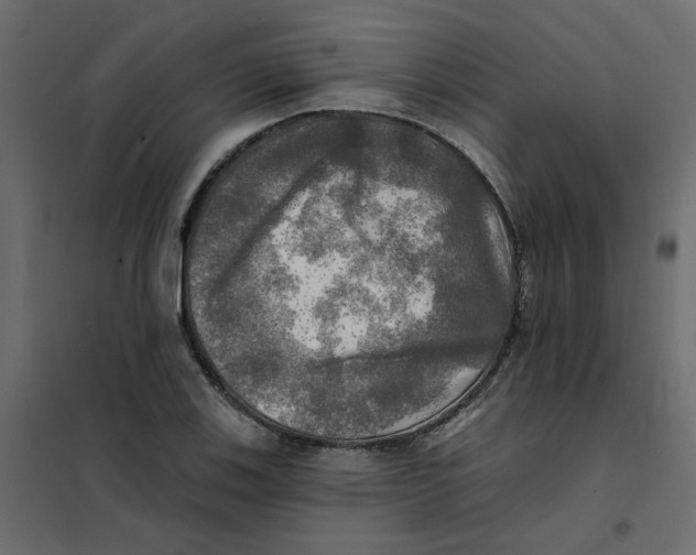 X0000102021123200808081742