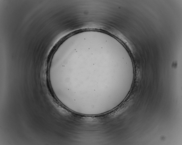 X0000102021124200808081742