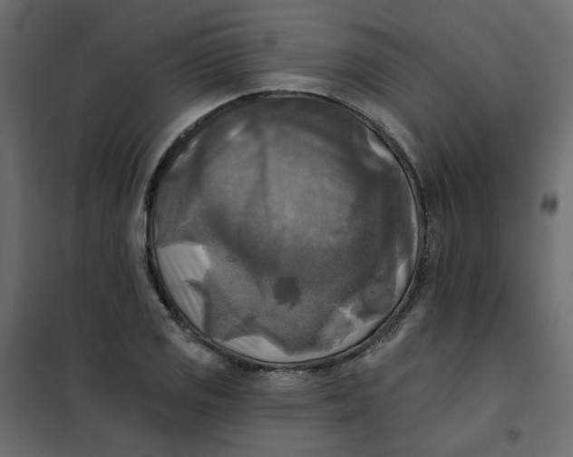 X0000102021125200808081742