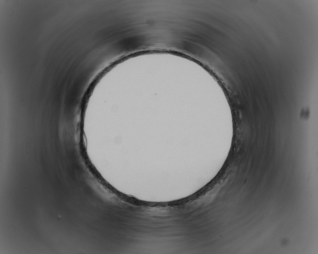 X0000102021126200808081742