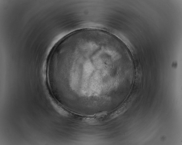 X0000102021128200808081742