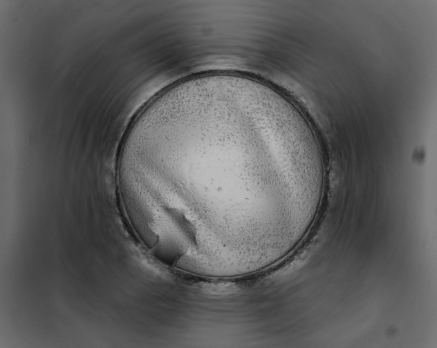 X0000102021129200808081742