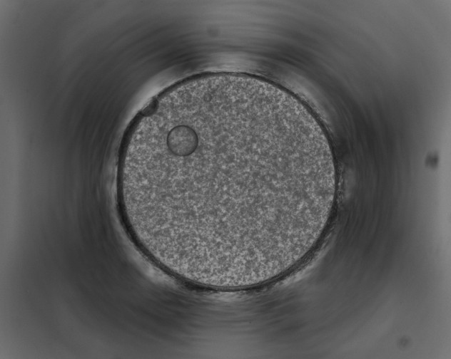 X0000102021130200808081742