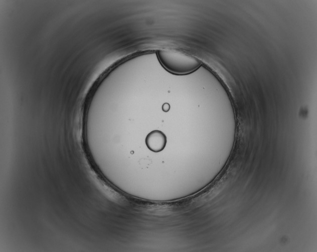 X0000102021131200808081742