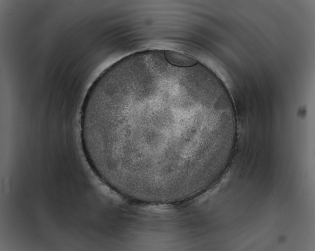 X0000102021133200808081742