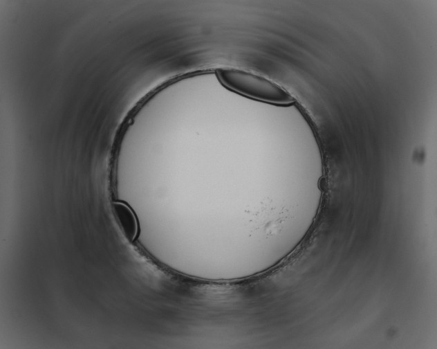 X0000102021134200808081742