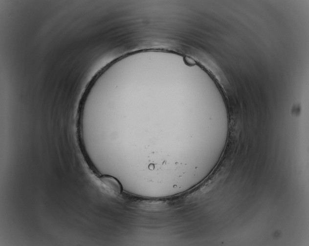 X0000102021135200808081742