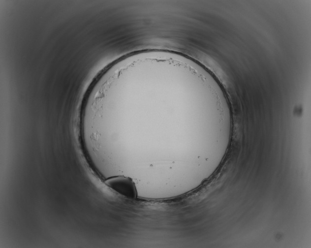X0000102021136200808081742