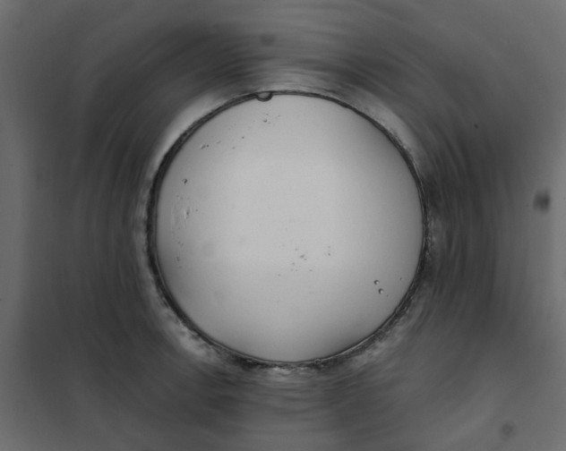 X0000102021138200808081742