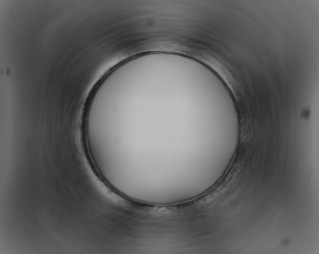 X0000102021139200808081742