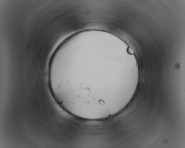 X0000102021140200808081742