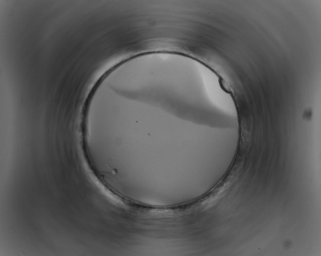 X0000102021142200808081742