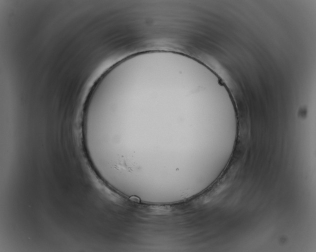 X0000102021144200808081742