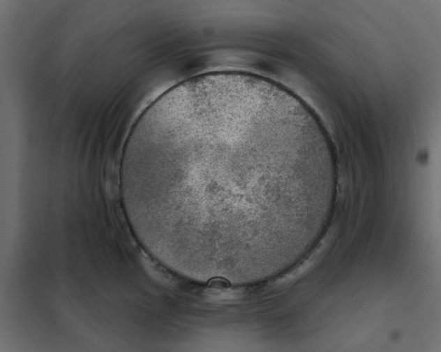 X0000102021145200808081742
