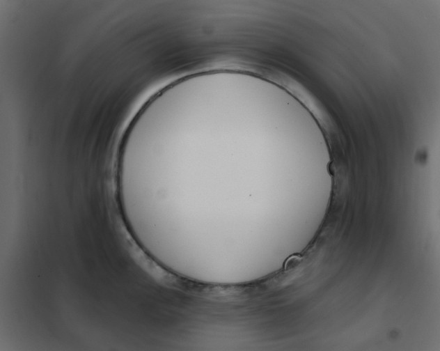 X0000102021148200808081742