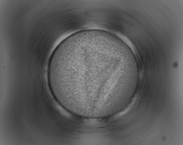 X0000102021149200808081742