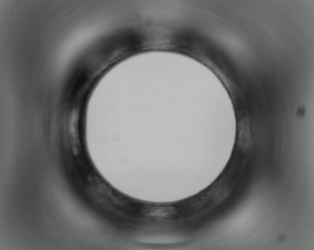 X0000102021150200808081742