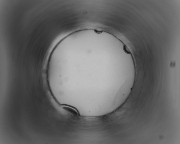 X0000102021152200808081742