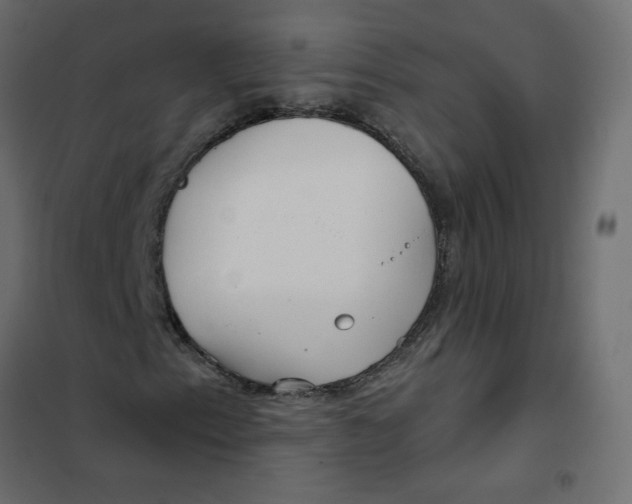 X0000102021153200808081741