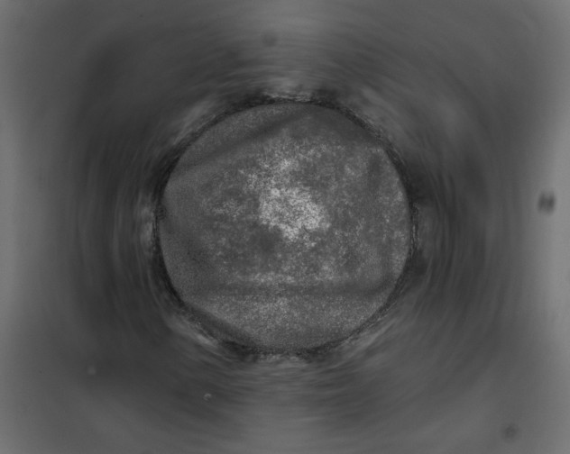 X0000102021154200808081741