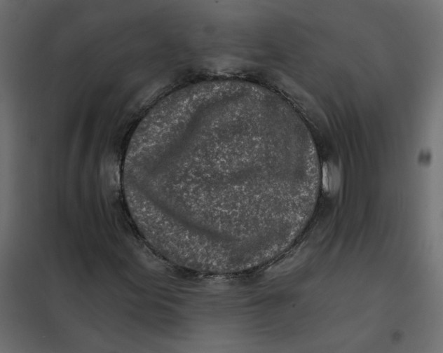 X0000102021155200808081741