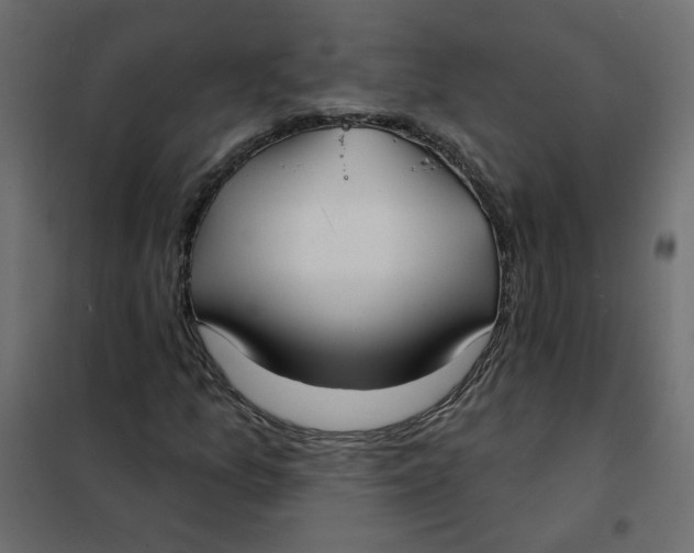 X0000102021157200808081741